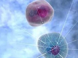 2026年泰国三代试管婴儿优势全面解析与推荐